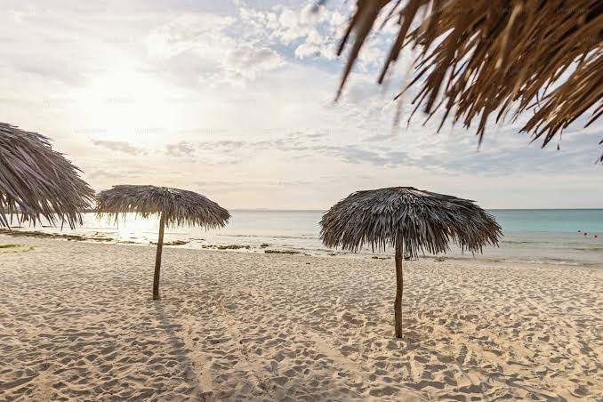  Playa Las Sombrillas — foto 1