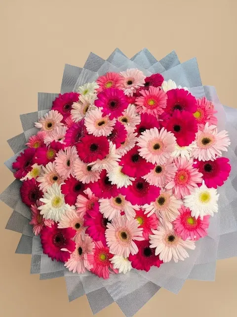 Buchon Dulce Gerberas
