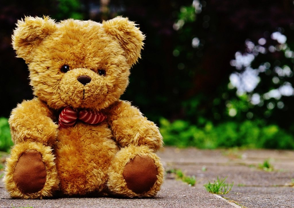 Classic 25 cm Teddy Bear