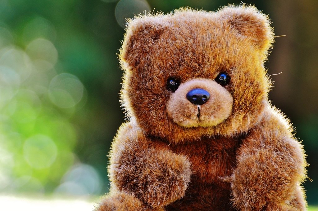 Large Teddy Bear 60 cm