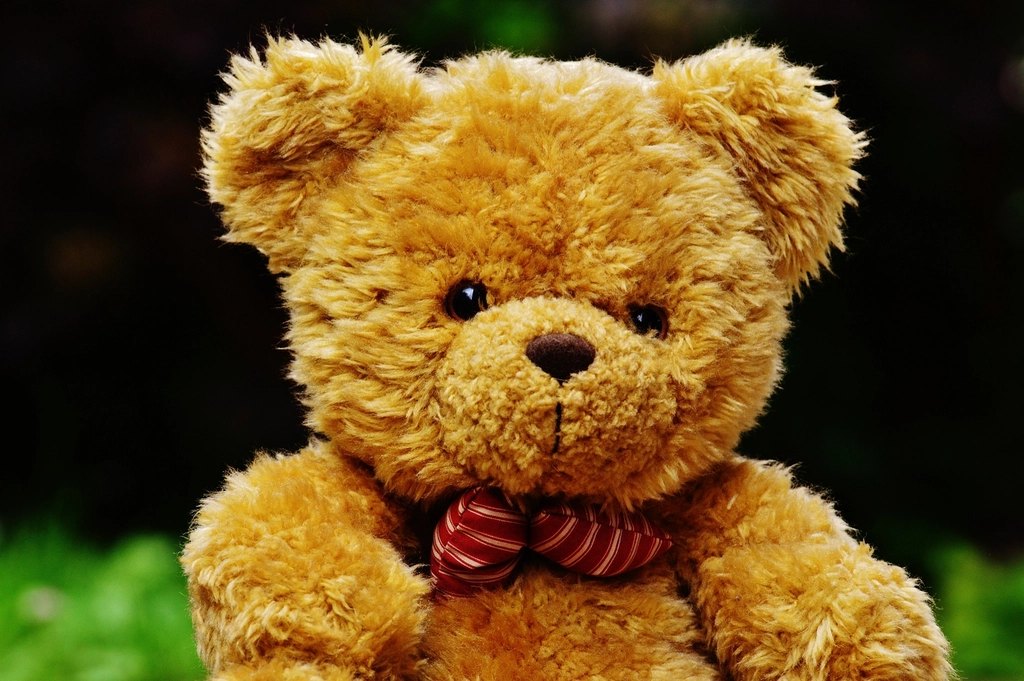 Teddy Bear + Rose Bouquet + Balloon